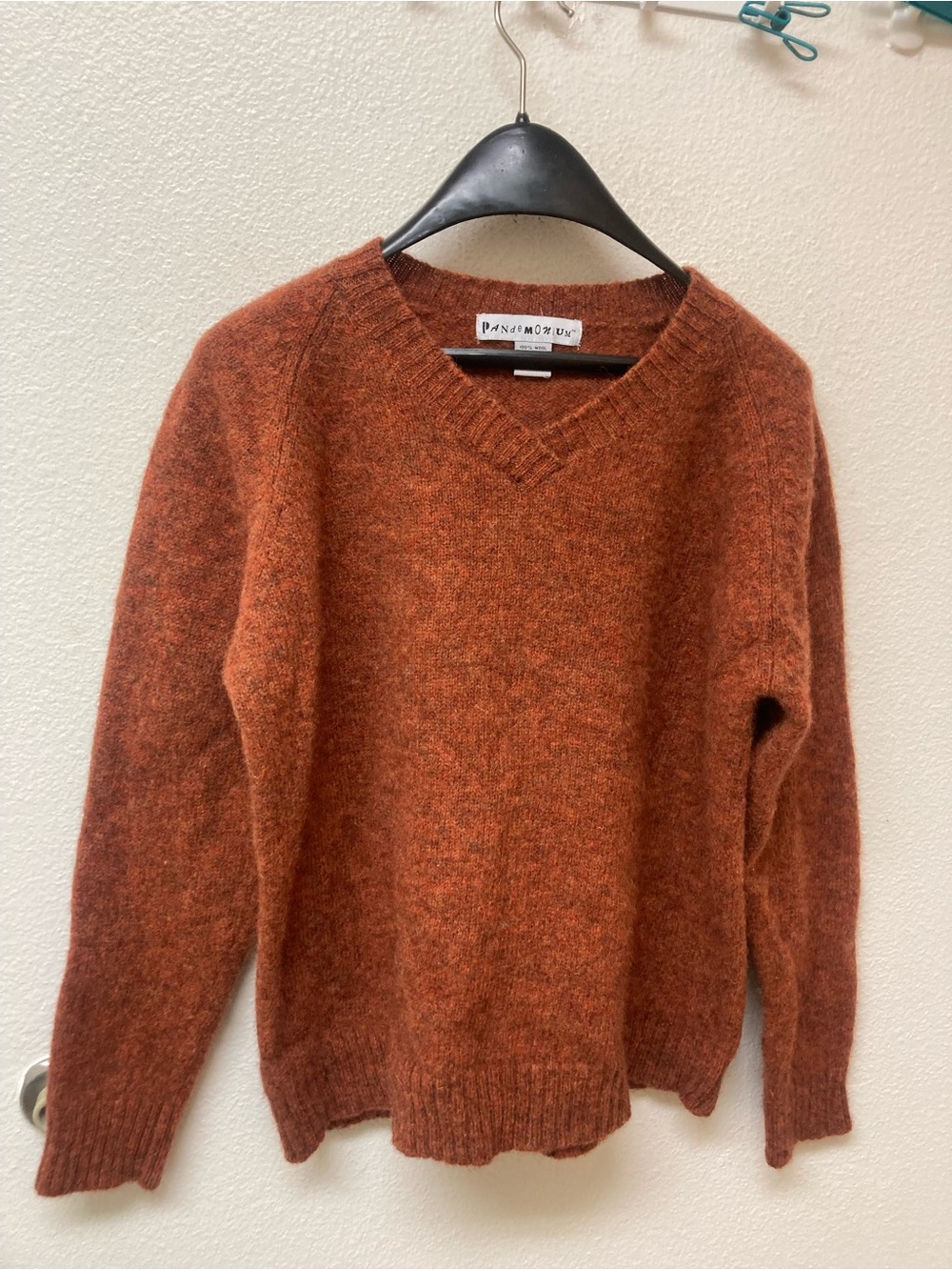 PANDEMONIUM 💯 Percent Wool Rich Orange V Neck Sweater (L)
